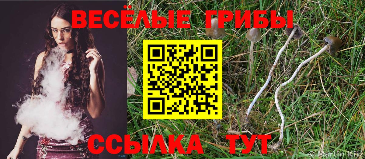 Петропавловск-Камчатский  Псилоцибиновые грибы Psilocybe  Галлюциногенные грибы Cubensis  Вход с VPN 